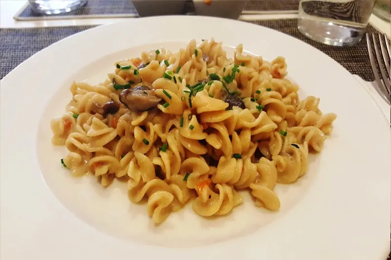 Camino Vegano - Logroño