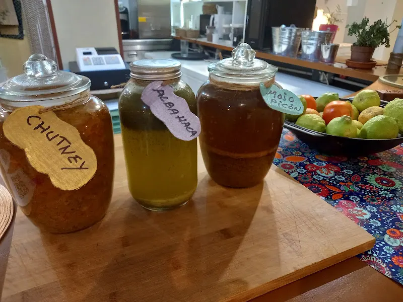 Anfora vegano - Gandia