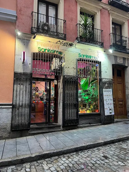 Sanissimo Opera Vegan - Restaurante venezolano en Madrid - foto 2