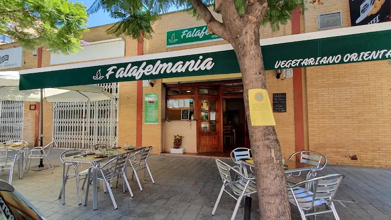 Falafelmania Restaurante Vegetariano y Vegano Oriental - Restaurante vegetariano en Alicante - foto 2