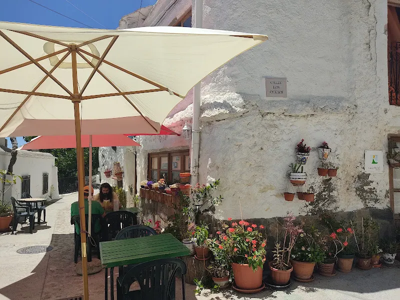 L'Atelier - Restaurante vegetariano en Motril - foto 3