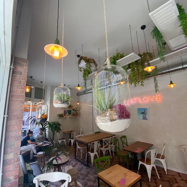 Catlove Coffee - Cafetería en Gijón - foto 2
