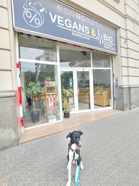 Vegans & Bio