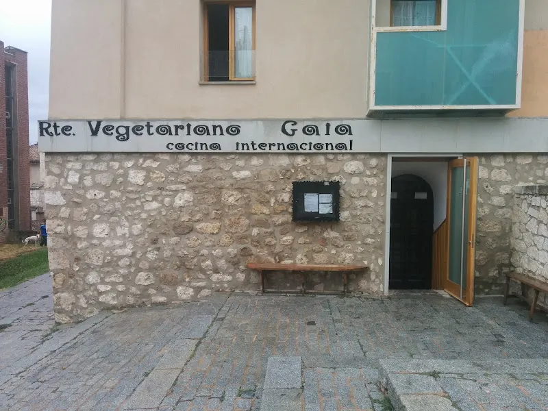Gaia - Restaurante vegetariano en Burgos - foto 2