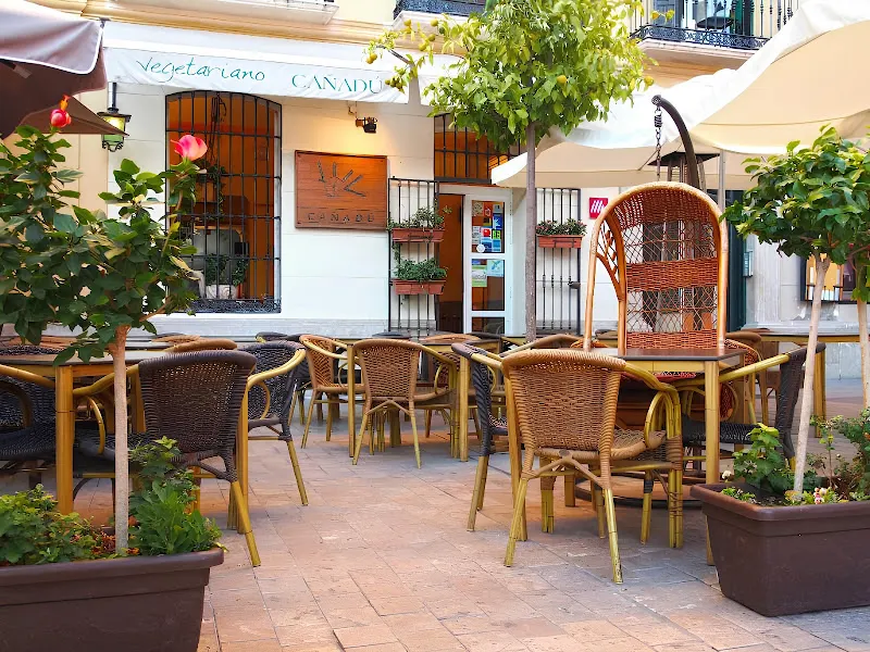 Restaurante Vegetariano Cañadú - Restaurante vegetariano en Málaga - foto 2