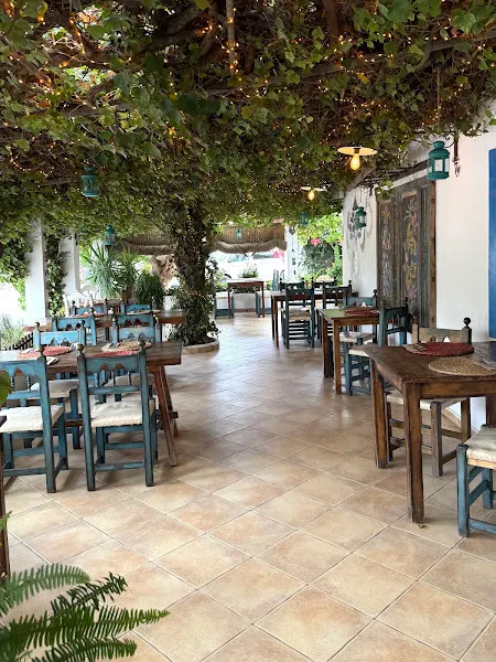Esfigueral Restaurante - Restaurante vegano en Santa Eulalia del Río - foto 2