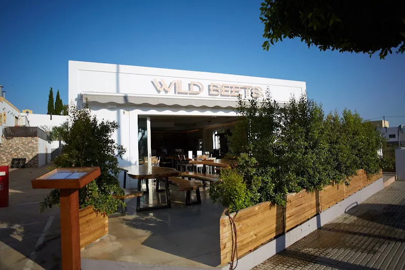 Wild Beets - Restaurante vegano en Santa Eulalia del Río - foto 2