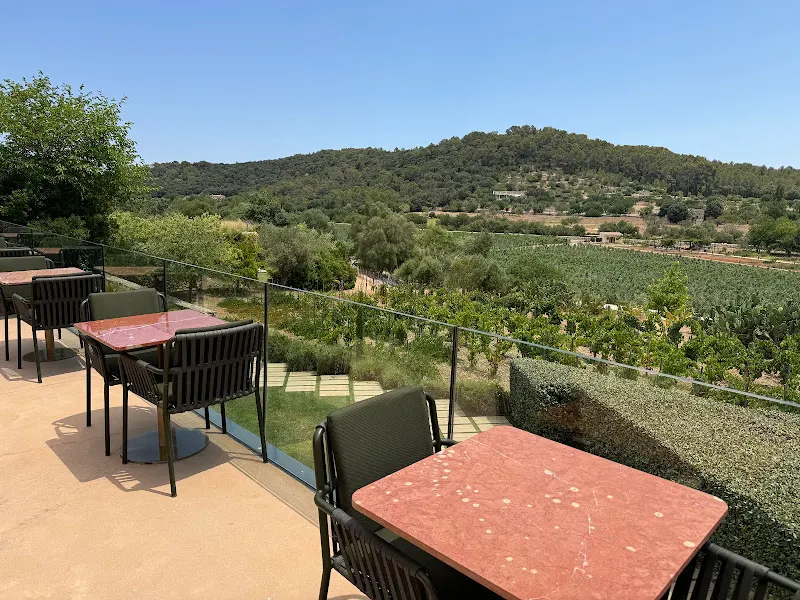 Bistro Son Brull - Pollença