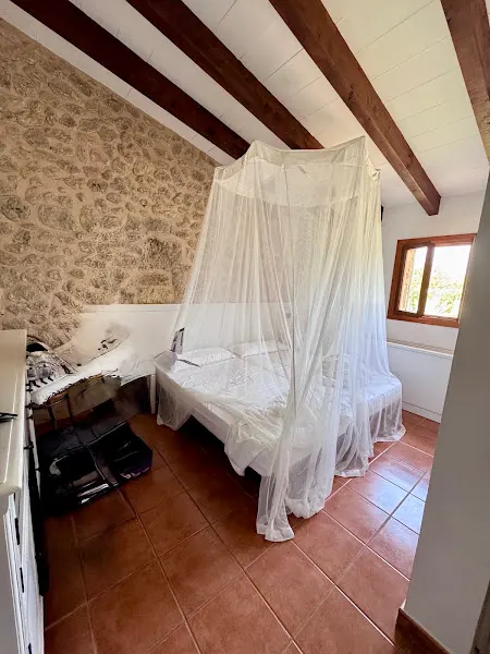 Villa Vegana - Selva