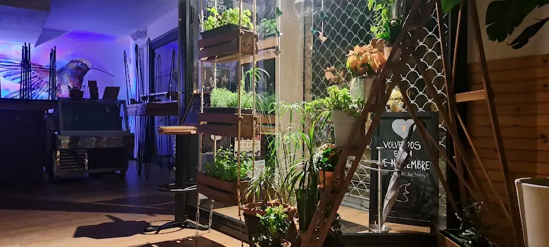 El Colibrín - Bar de tapas en León - foto 2