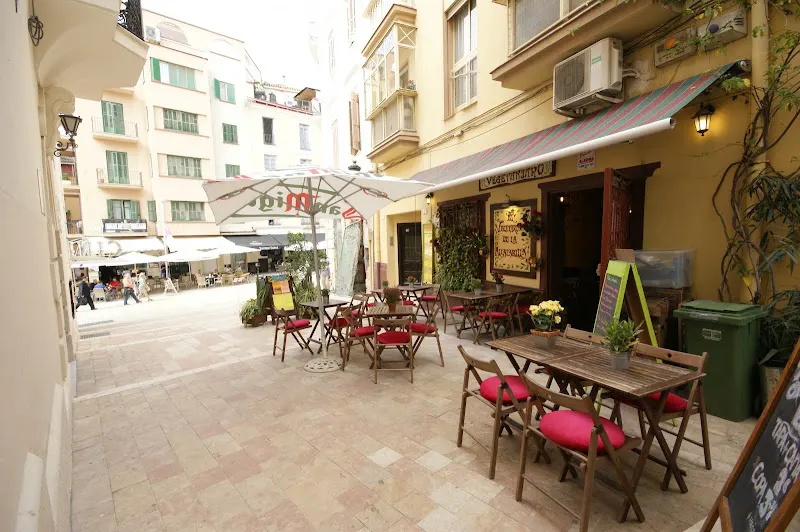 El Vegetariano de la Alcazabilla - Restaurante vegetariano en Málaga - foto 3