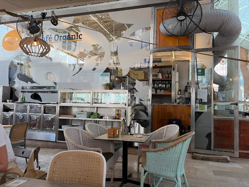 Suc de Lluna BioCafè - Restaurante orgánico en Valencia - foto 3