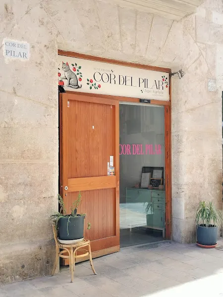 Restaurante vegano Cor del pilar - Restaurante vegano en Valencia - foto 2