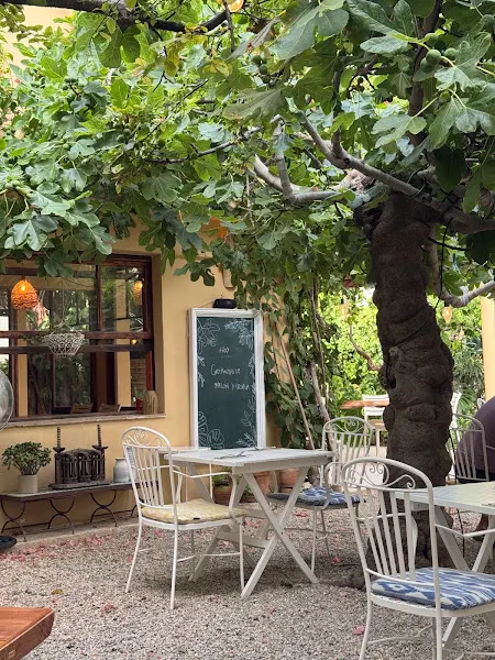 Bella Verde - Restaurante Vegano en Puerto de Pollença, Mallorca - Pollença