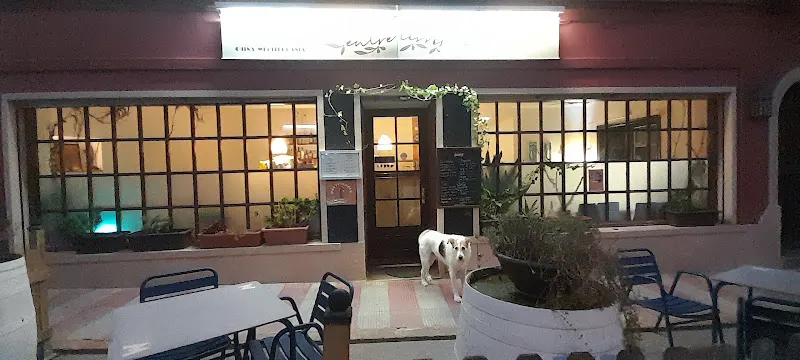 Entre Terres Restaurant - Restaurante libanés en Sant Feliu de Guíxols - foto 2
