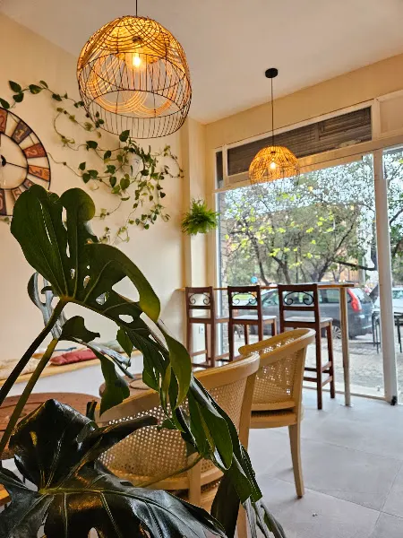 Fronda café - Cafetería apta para perros en Valencia - foto 2