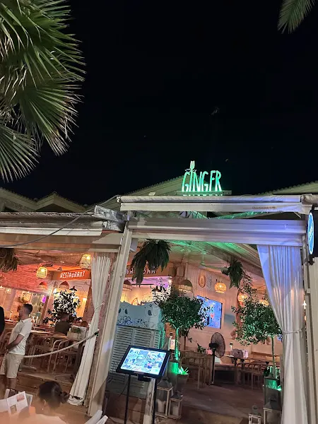 Ginger - Palma